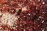 Glittering, Ruby Red Vanadinite Crystals on Barite - Morocco #278238-1